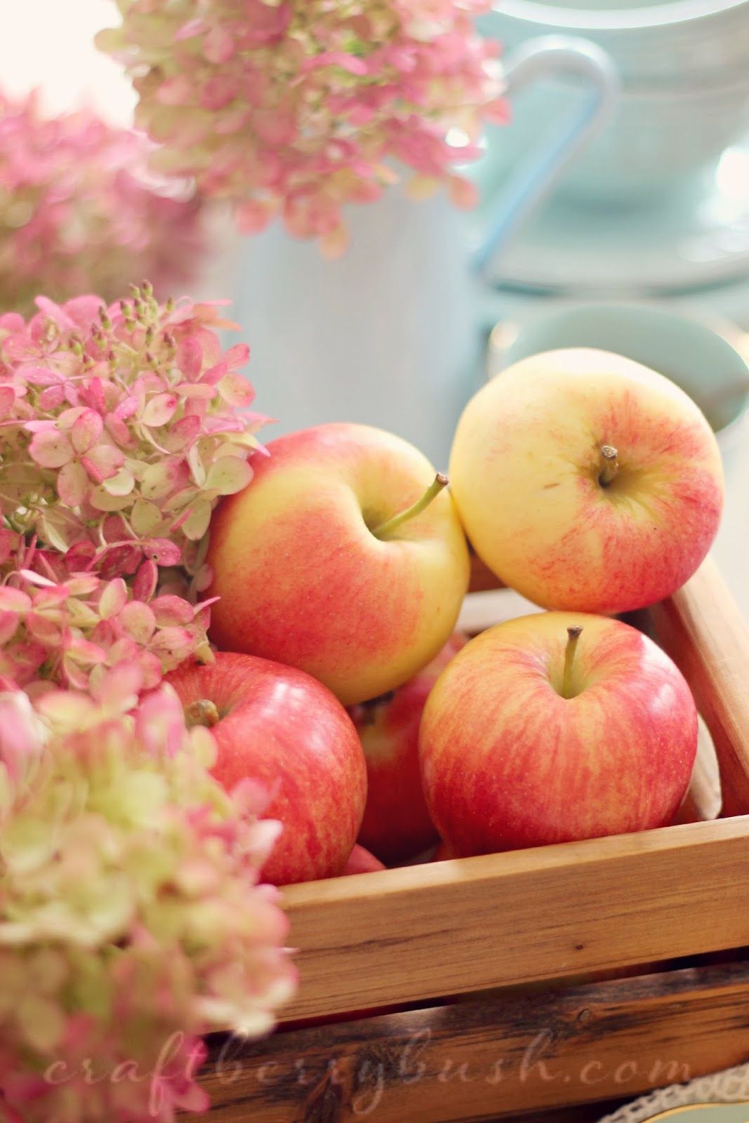 7 důvodů, proč musíte jíst jablka