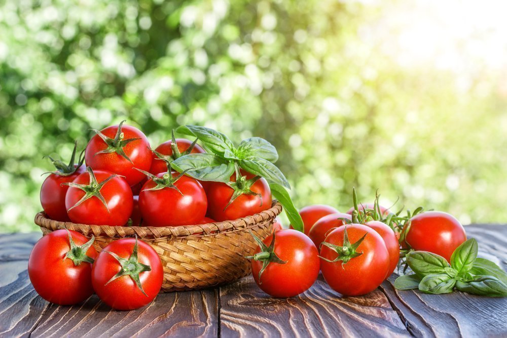 Lidová metoda pro posílení růstu a produktivity rajčat