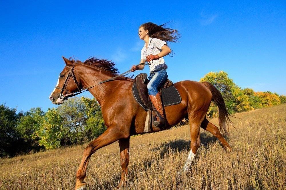 Jízda na koni: výhody a zábava