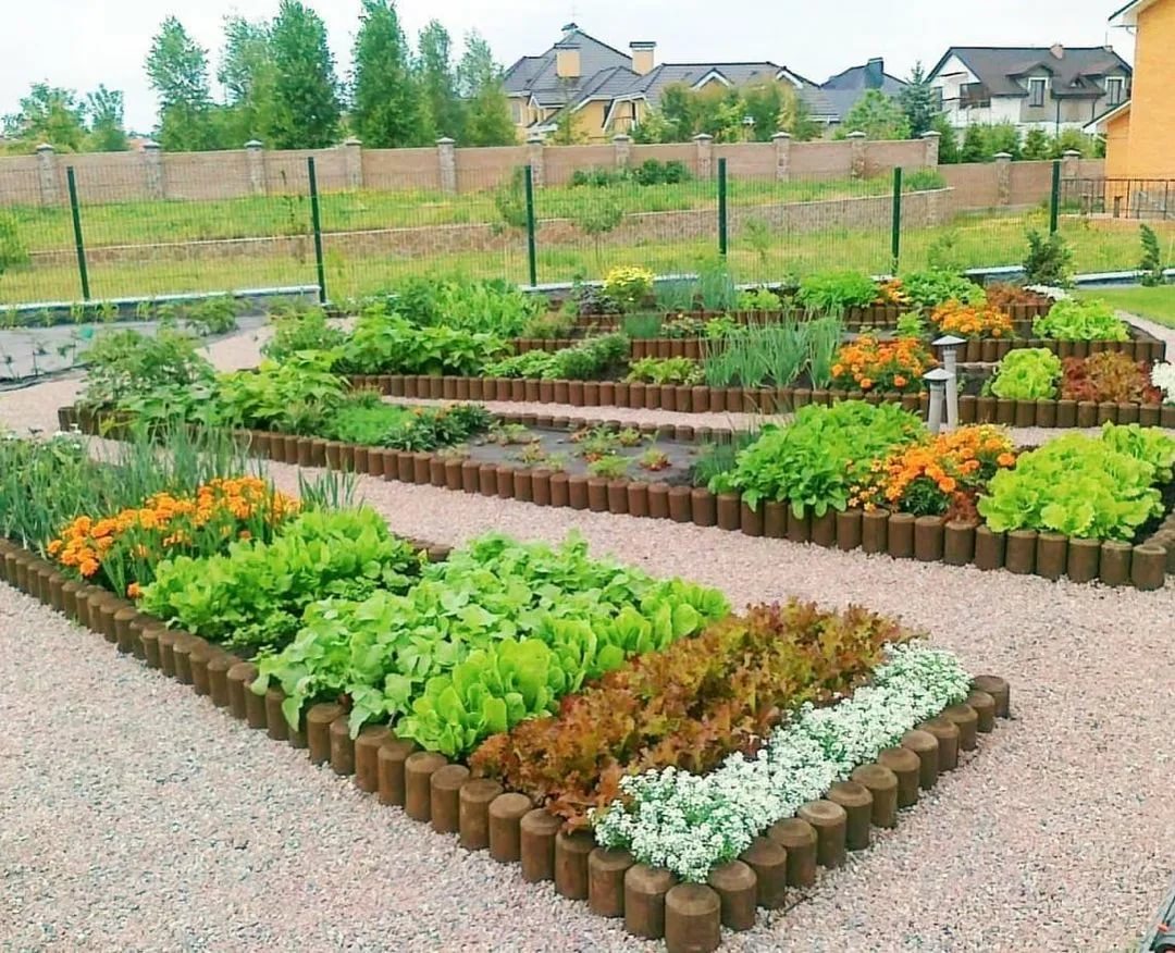 Nápady na zahradničení pro majitele dači