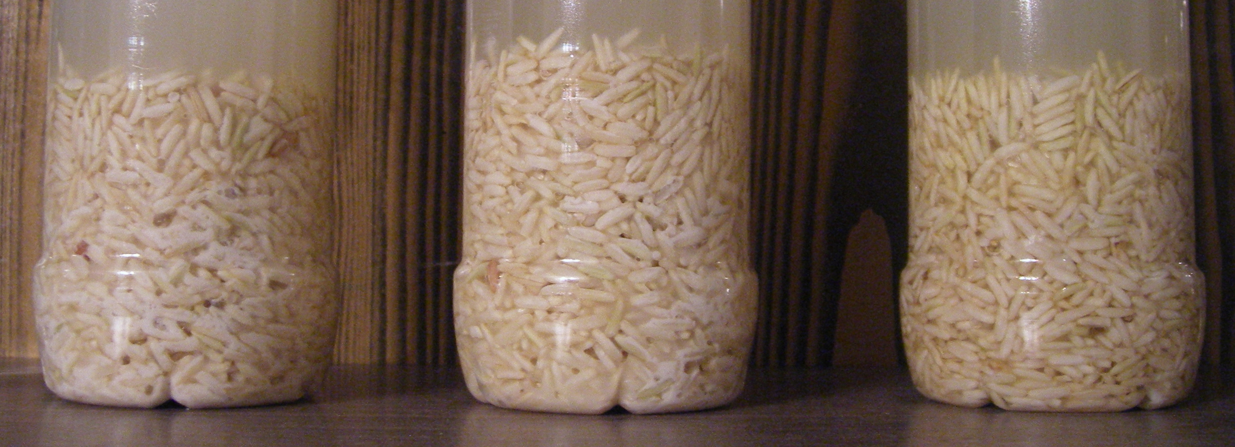 Čištění rýží