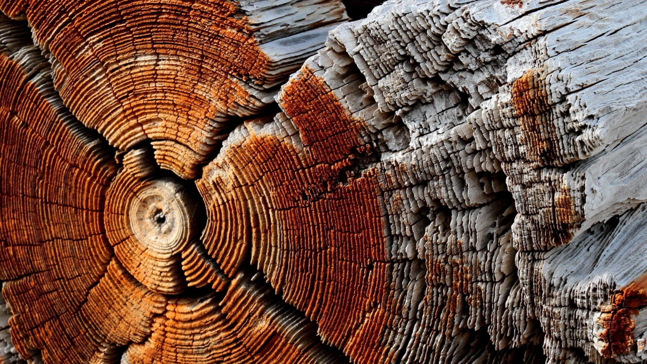 Proč dochází k praskání dřeva a jak s ním bojovat