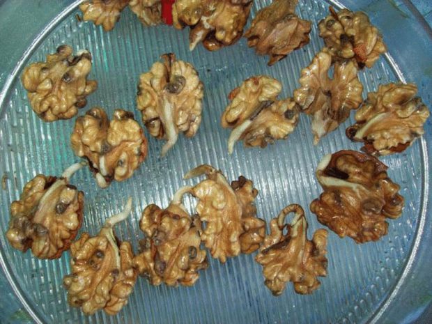 Efektivní recept na léčení klíčících vlašských ořechů