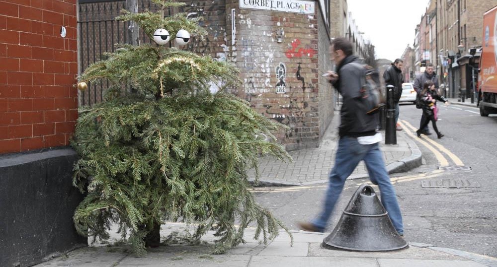 Po novoročním svátcích rychle a jednoduše odstraníme vánoční strom