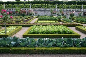 Jak vytvořit francouzskou zahradu svými vlastními rukama